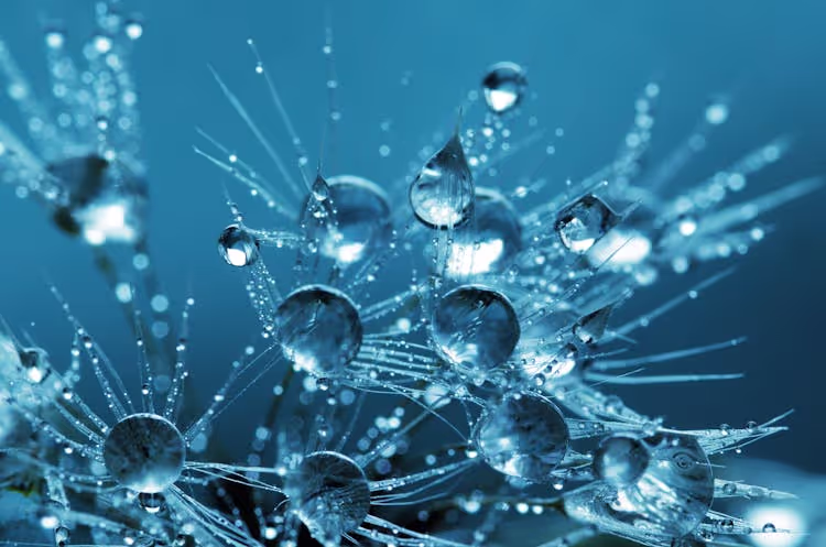 Microscopic molecules